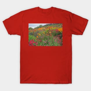 Aston Pottery Gardens, August 2021 T-Shirt